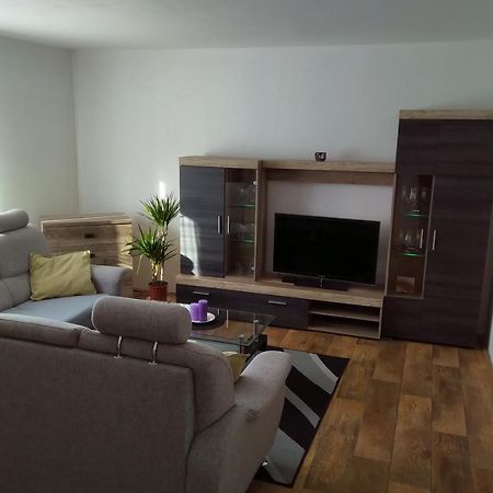 Apartament Apartman Pod Rickami Rokytnice v Orlických Horách Zewnętrze zdjęcie