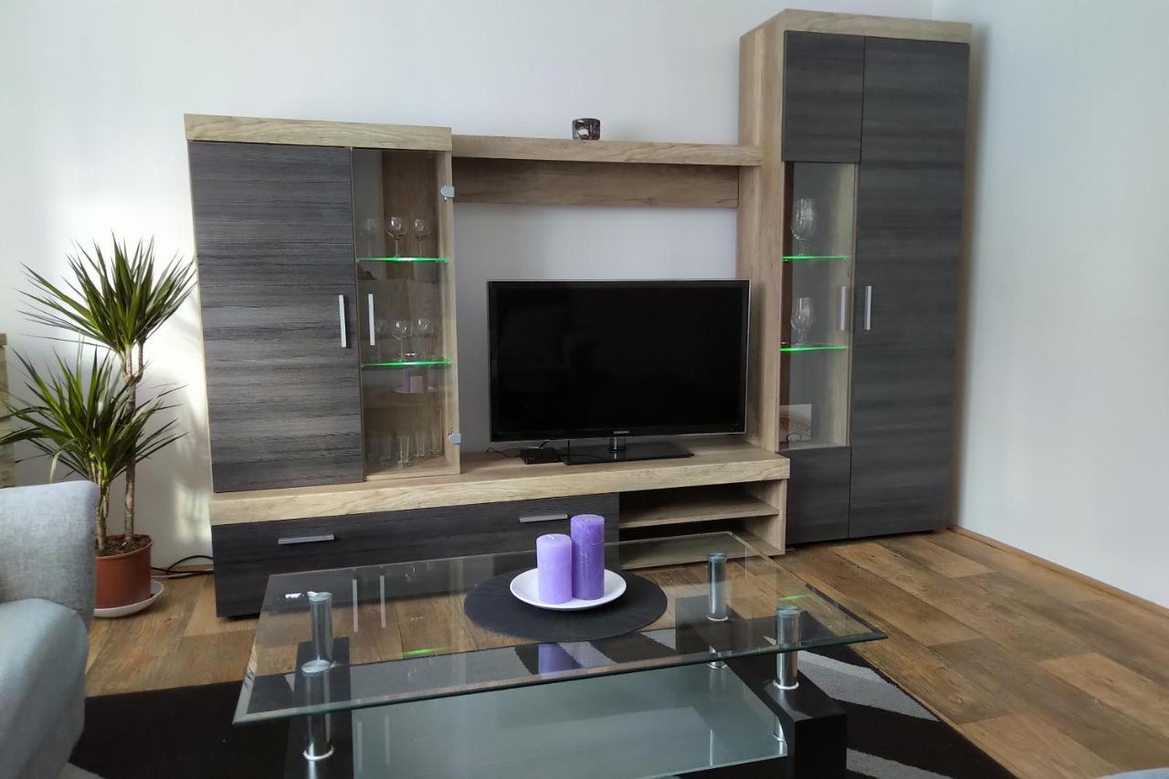 Apartament Apartman Pod Rickami Rokytnice v Orlických Horách Zewnętrze zdjęcie
