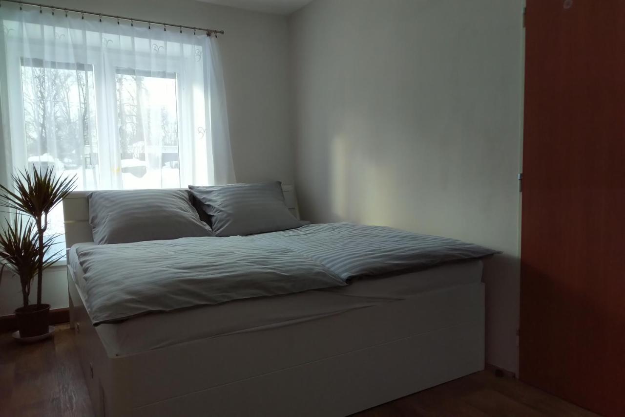 Apartament Apartman Pod Rickami Rokytnice v Orlických Horách Zewnętrze zdjęcie