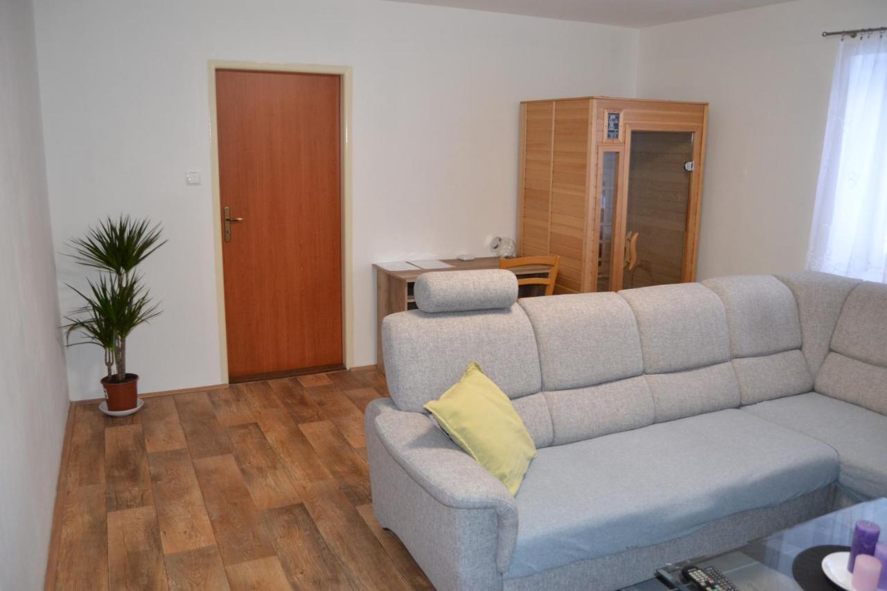 Apartament Apartman Pod Rickami Rokytnice v Orlických Horách Zewnętrze zdjęcie